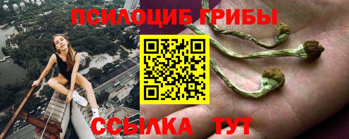 Псилоцибиновые грибы мицелий  Вход с VPN  Кохма 